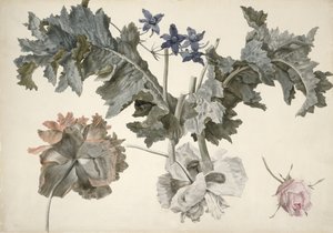 Papaveri da oppio a doppio fiore, foglie di papavero, delphinium e un bocciolo di rosa da Eelke Jelles Eelkema